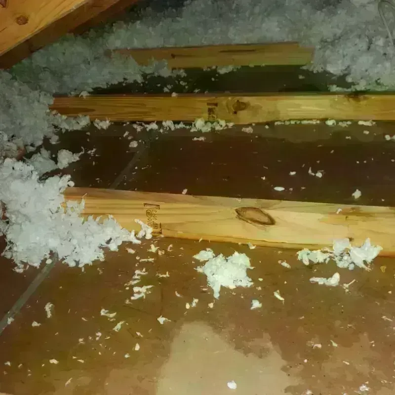 Attic Water Damage in Four Corners, OR