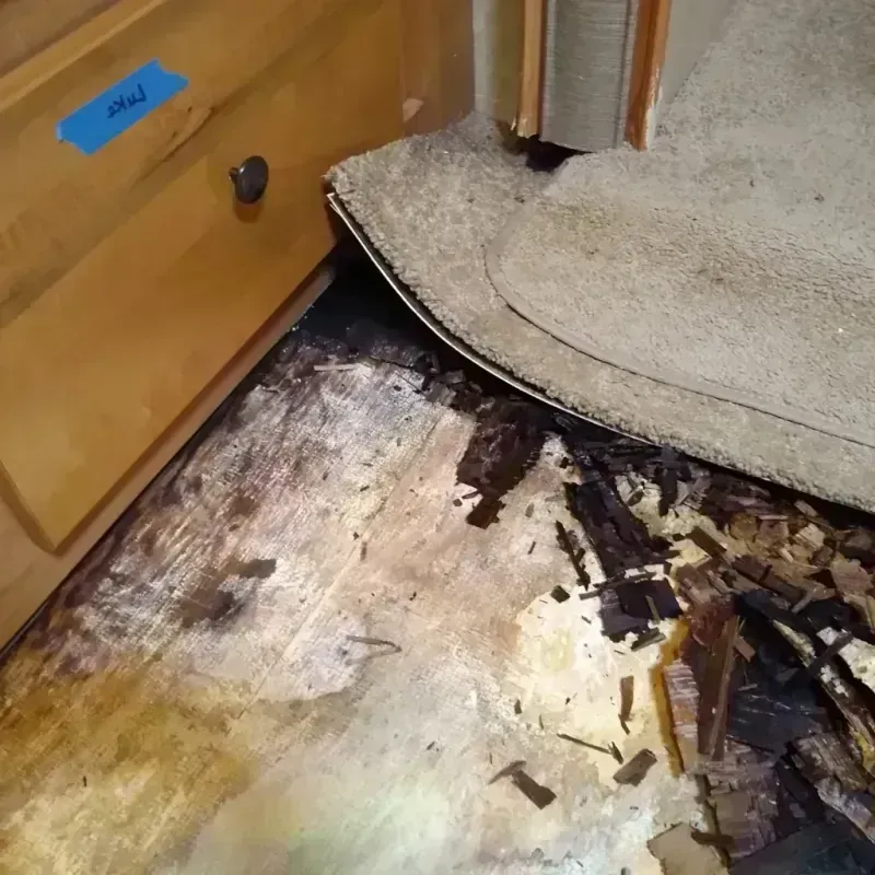 Wood Floor Water Damage in Four Corners, OR